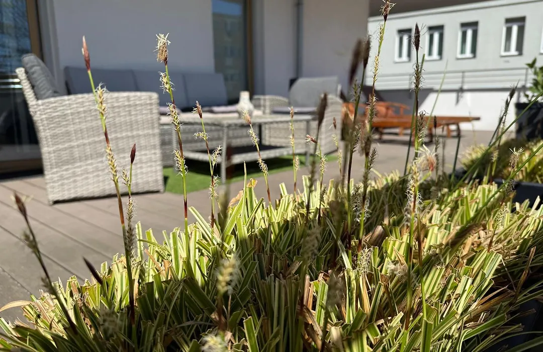 Apartament - Miodowy Dom - Exspanse-1